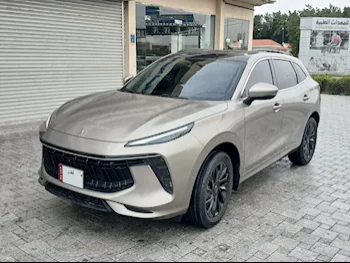 فورثينج  تي 5  ايفو  2023  اوتوماتيك  36,000 كم  4 سلندر  سحب امامي  اس يو في  ذهبي  تحت الضمان