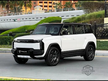 Chery  iCAR  EQ3  2025  Automatic  300 Km  4 Cylinder  Four Wheel Drive (4WD)  SUV  White