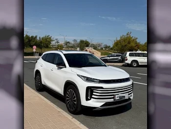 إكسيد  تي اكس ال  2023  اوتوماتيك  11,500 كم  4 سلندر  دفع رباعي  اس يو في  أبيض  تحت الضمان