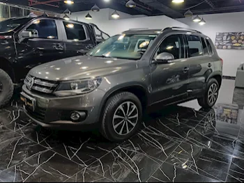 فوكس واغن  تيغوان  2.0 تي اس اي  2014  اوتوماتيك  129,000 كم  4 سلندر  دفع رباعي  اس يو في  رمادي