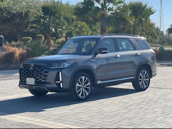 شانجن  سي اس 95  إس يو في 4 في 4  رمادي  2025