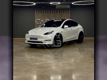 تسلا  واي  بيرفورمانس  2023  اوتوماتيك  67,000 كم  0 سلندر  دفع رباعي  اس يو في  أبيض  تحت الضمان