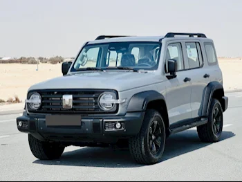 GWM  Tank  300  2025  Automatic  0 Km  4 Cylinder  Four Wheel Drive (4WD)  SUV  Gray  With Warranty