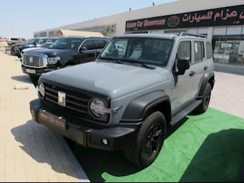 GWM  Tank  300  2025  Automatic  0 Km  4 Cylinder  Four Wheel Drive (4WD)  SUV  Gray  With Warranty