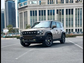 جيتور  تي 2  2025  اوتوماتيك  0 كم  4 سلندر  دفع رباعي  اس يو في  بيج  تحت الضمان