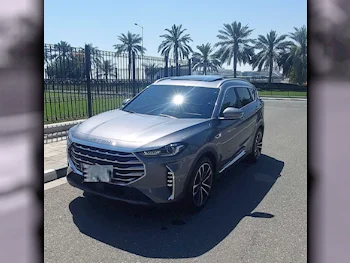 جيتور  اكس 70  بلس  2024  اوتوماتيك  11,000 كم  4 سلندر  سحب امامي  اس يو في  رمادي غامق  تحت الضمان