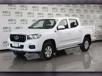 Maxus  T60  2019  Manual  165,000 Km  4 Cylinder  Rear Wheel Drive (RWD)  Pick Up  White