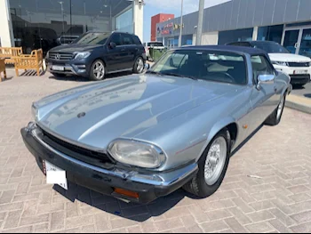 Jaguar  Classic  1993  Automatic  999 Km  4 Cylinder  Rear Wheel Drive (RWD)  Sedan  Silver