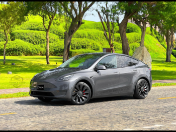 تسلا  واي  بيرفورمانس  2022  اوتوماتيك  75,500 كم  0 سلندر  دفع كلي مستمر  اس يو في  رمادي