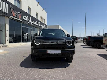 BAIC  BJ30e  2025  Automatic  0 Km  4 Cylinder  Four Wheel Drive (4WD)  SUV  Black  With Warranty