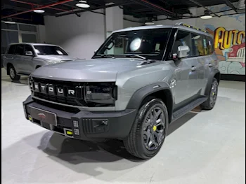 Jetour  T2  Luxury Plus  2025  Automatic  400 Km  4 Cylinder  All Wheel Drive (AWD)  SUV  Silver  With Warranty