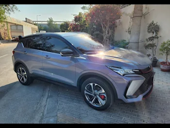 جيلي  كوول راي  سبورت ليميتد  2024  اوتوماتيك  9,665 كم  4 سلندر  سحب امامي  اس يو في  رمادي  تحت الضمان