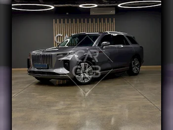 هونغ تشي  اي- اتش اس 9  2023  اوتوماتيك  8,000 كم  0 سلندر  دفع رباعي  اس يو في  فضي  تحت الضمان