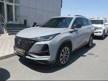 تشانجان  سي اس  75  2022  اوتوماتيك  9,000 كم  4 سلندر  دفع رباعي  اس يو في  رمادي