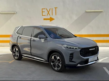 ماكسيس  دي 60 ماكس  إس يو في 2 في 4  رمادي  2024