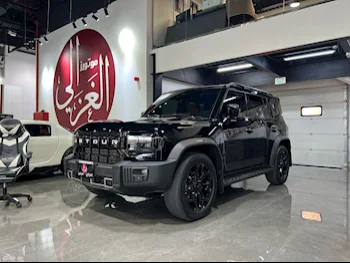  جيتور  تي 2  2024  اوتوماتيك  29,000 كم  4 سلندر  دفع رباعي  اس يو في  أسود  تحت الضمان