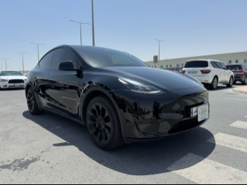 Tesla  Model Y  2024  Automatic  2,800 Km  0 Cylinder  All Wheel Drive (AWD)  SUV  Black  With Warranty