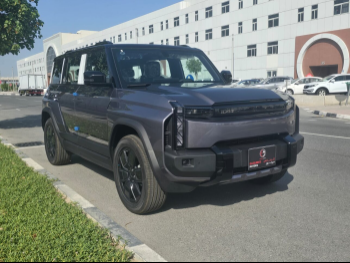 Chery  iCAR  EQ3  2024  Automatic  0 Km  0 Cylinder  Four Wheel Drive (4WD)  SUV  Gray