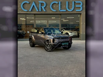 Chery  iCAR  EQ3  2025  Automatic  0 Km  0 Cylinder  Four Wheel Drive (4WD)  SUV  Gray  With Warranty