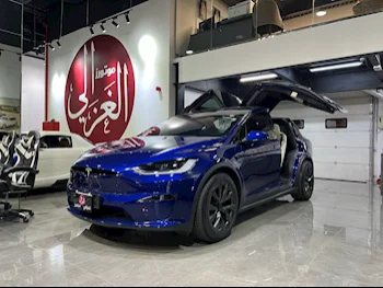 Tesla  Model X  2024  Automatic  4,000 Km  0 Cylinder  All Wheel Drive (AWD)  SUV  Dark Blue  With Warranty