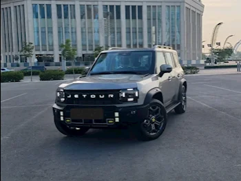 جيتور  تي 2  اي- دي ام  2025  اوتوماتيك  0 كم  4 سلندر  دفع رباعي  اس يو في  فضي  تحت الضمان