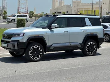 BYD  Leopard 8  SUV 4x4  Silver  2025