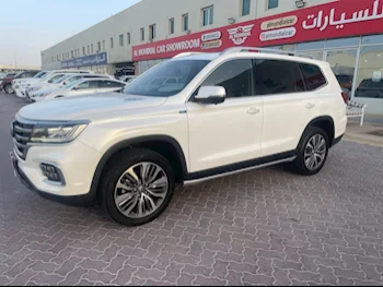 ام جي  ار اكس8  30 تي  2023  اوتوماتيك  101,000 كم  4 سلندر  دفع رباعي  اس يو في  أبيض