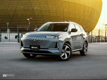 شانجن  يوني - اس  4 سلندر  إس يو في 2 في 4  رمادي ميتالك  2025