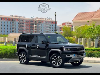 BYD  Leoperd 5  2025  Automatic  0 Km  4 Cylinder  Four Wheel Drive (4WD)  SUV  Black  With Warranty