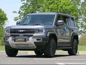 BYD  Leoperd 5  2025  Automatic  0 Km  4 Cylinder  Four Wheel Drive (4WD)  SUV  Gray  With Warranty