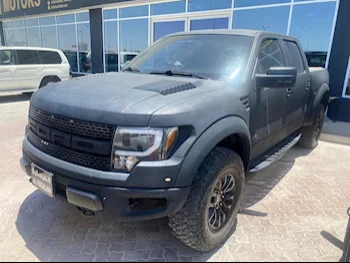 فورد  أف  150 رابتر  2014  اوتوماتيك  115,000 كم  8 سلندر  دفع رباعي  بيكب  أسود