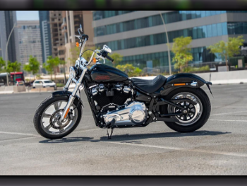 هارلي ديفيدسون  سوفتايل -  2023 - اللون اسود -  الضمان