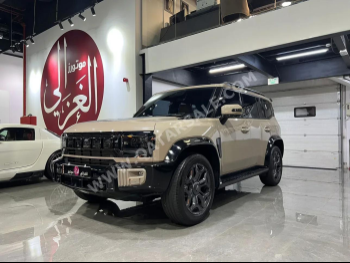 جيتور  تي 2  2024  اوتوماتيك  23,000 كم  4 سلندر  دفع رباعي  اس يو في  بيج  تحت الضمان