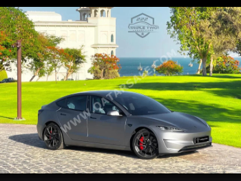 تسلا  مودل 3  بيرفورمانس  2025  اوتوماتيك  3,600 كم  0 سلندر  دفع كلي مستمر  سيدان  رمادي  تحت الضمان