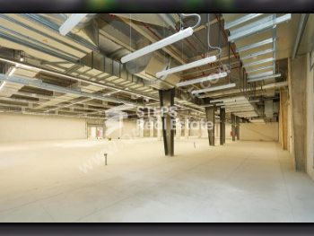 مخازن و مستودعات - الوكرة  - بركة العوامر  -المساحة: 19420 متر مربع