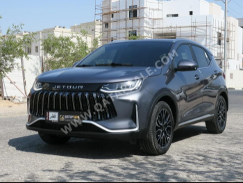 جيتور  اكس 50  2025  اوتوماتيك  1,000 كم  4 سلندر  دفع كلي مستمر  اس يو في  رمادي  تحت الضمان