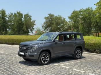 هافال  اتش 9  إس يو في 4 في 4  رمادي  2025