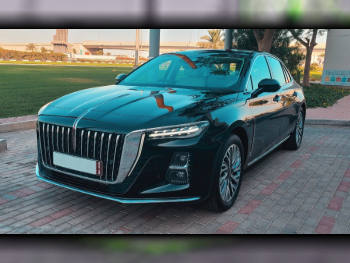 هونغ تشي  اوسادو  40 تي دي  2024  اوتوماتيك  31,000 كم  4 سلندر  سحب امامي  سيدان  أسود  تحت الضمان