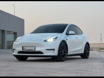 تسلا  واي  بيرفورمانس  2024  اوتوماتيك  2,000 كم  0 سلندر  دفع كلي مستمر  اس يو في  أبيض  تحت الضمان