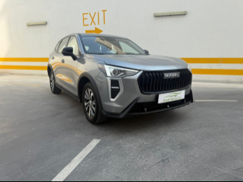 هافال  جوليون  4 سلندر  إس يو في 2 في 4  رمادي  2025