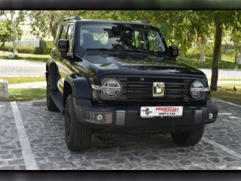 جي دبليو ام  تانك 300  4 سلندر  فخمة  أسود  2026