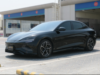 بي واي دي  سيل  2025  اوتوماتيك  23,000 كم  0 سلندر  دفع كلي مستمر  سيدان  أسود  تحت الضمان