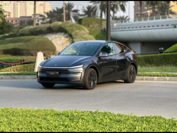 تسلا  واي  2025  اوتوماتيك  0 كم  0 سلندر  دفع كلي مستمر  اس يو في  رمادي  تحت الضمان