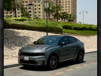 لينك اند كو  05  هايبر هالو  2024  اوتوماتيك  22,000 كم  4 سلندر  دفع كلي مستمر  اس يو في  رمادي  تحت الضمان