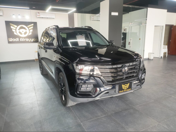 ام جي  ار اكس8  30 تي  2023  اوتوماتيك  72,000 كم  4 سلندر  دفع رباعي  اس يو في  أسود  تحت الضمان