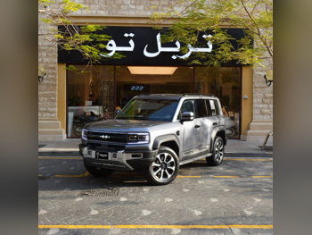 BYD  Leoperd 5  2025  Automatic  0 Km  4 Cylinder  Four Wheel Drive (4WD)  SUV  Silver  With Warranty