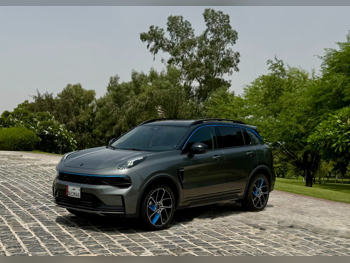 لينك اند كو  01  لاودر برو  2024  اوتوماتيك  24,000 كم  4 سلندر  سحب امامي  اس يو في  رمادي  تحت الضمان