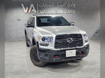 زد اكس اوتو  تيرالورد  2024  اوتوماتيك  4,000 كم  4 سلندر  دفع رباعي  بيكب  فضي  تحت الضمان