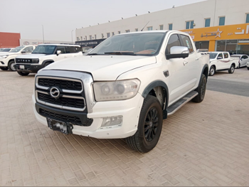 زد اكس اوتو  تيرالورد  اي تي اي اس سي  2022  اوتوماتيك  106,000 كم  4 سلندر  دفع رباعي  بيكب  أبيض