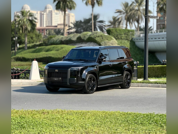 روكس موتور  جيشي  01  2025  اوتوماتيك  16,000 كم  4 سلندر  دفع رباعي  اس يو في  أسود